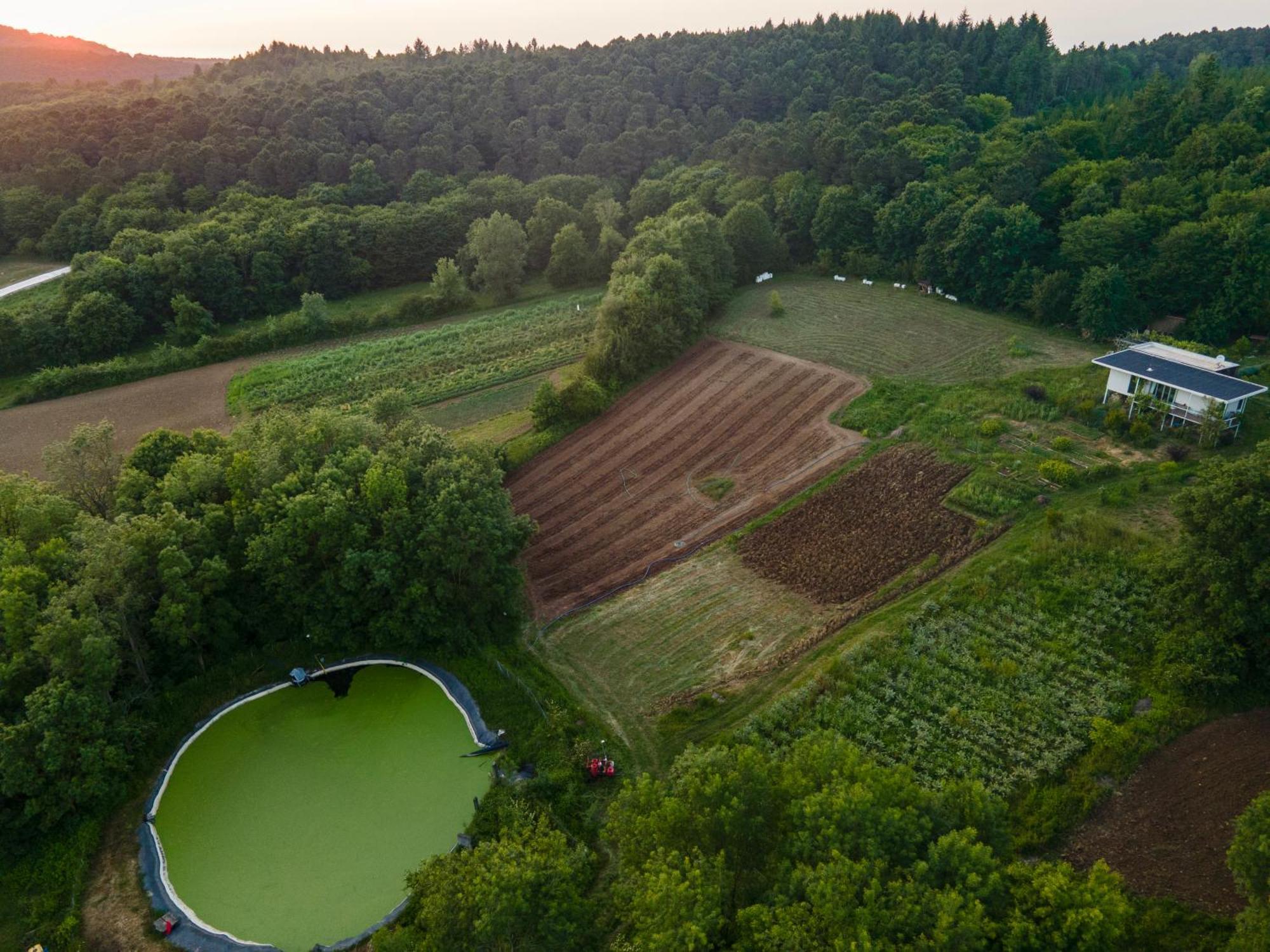 Narkoey Ecologic Hotel & Organic Farm Kocaeli Esterno foto