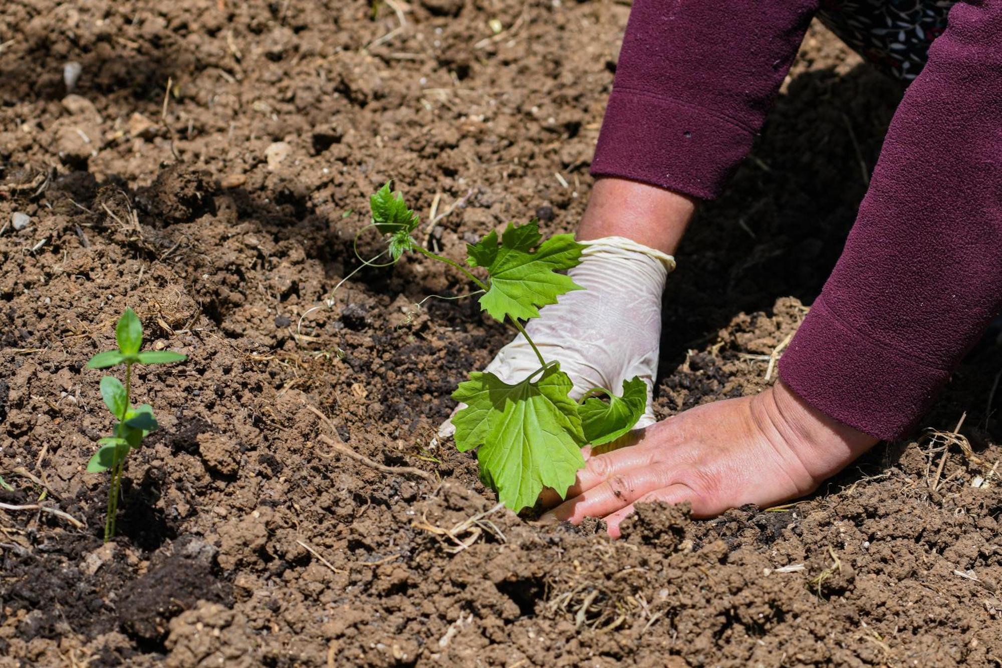 Narkoey Ecologic Hotel & Organic Farm Kocaeli Esterno foto