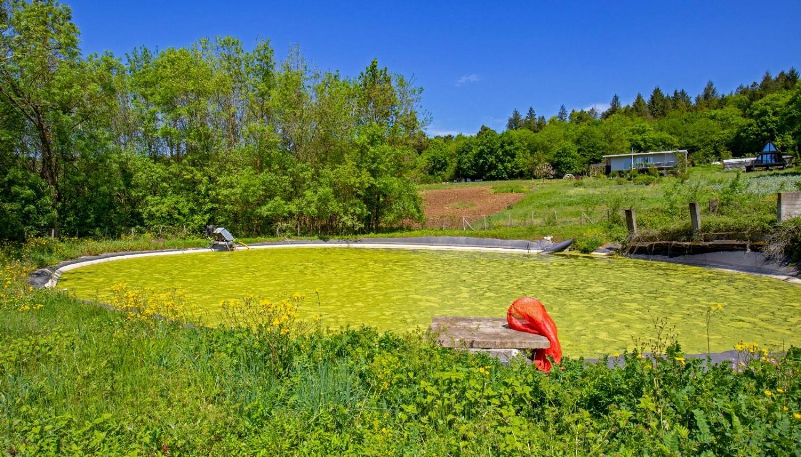 Narkoey Ecologic Hotel & Organic Farm Kocaeli Esterno foto